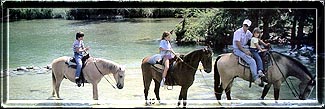 Horse backing on the Frio River
